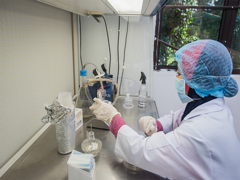 Laboratory